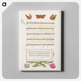 アートパネル-Butterflies, Moth, Spider, and English Daisies
 - 書道のお手本 Canvas.