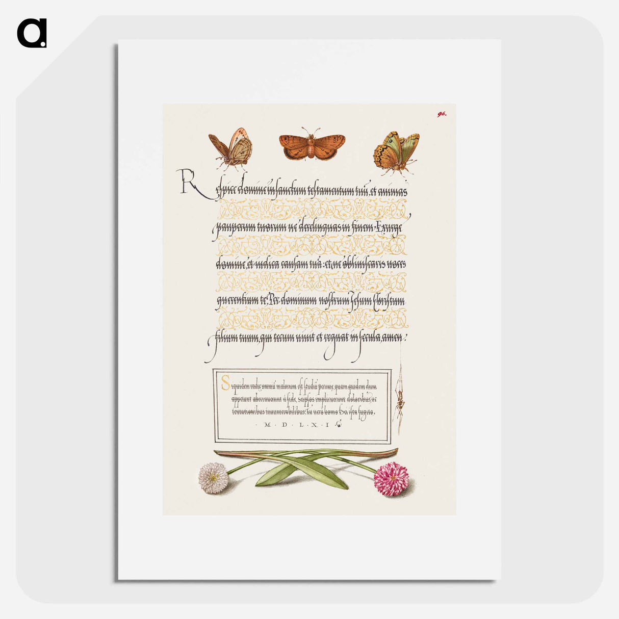 アートポスター-Butterflies, Moth, Spider, and English Daisies
 - 書道のお手本 Poster.