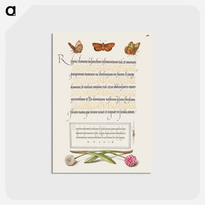 アートポストカード-Butterflies, Moth, Spider, and English Daisies
 - 書道のお手本 Postcard.