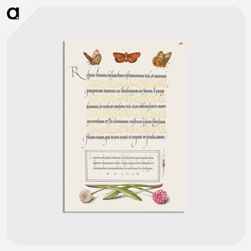 Butterflies, Moth, Spider, and English Daisies
 - 書道のお手本 Postcard.