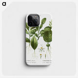 2-46_Treatise-on-Trees-and-Shrubs_phone