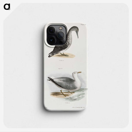 2-46_Zoology-of-New-York_phone