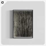 2-47_Alfred-Stieglitz_blk-crop