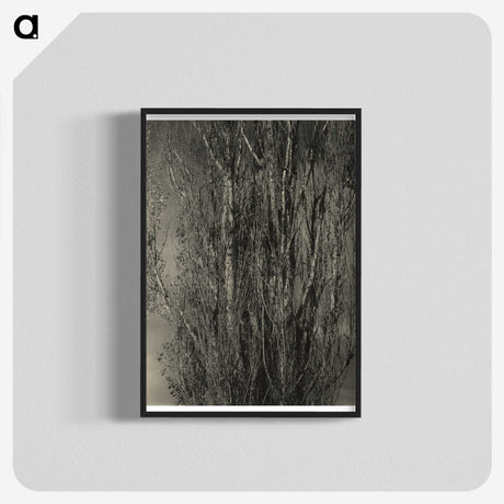 2-47_Alfred-Stieglitz_blk-crop