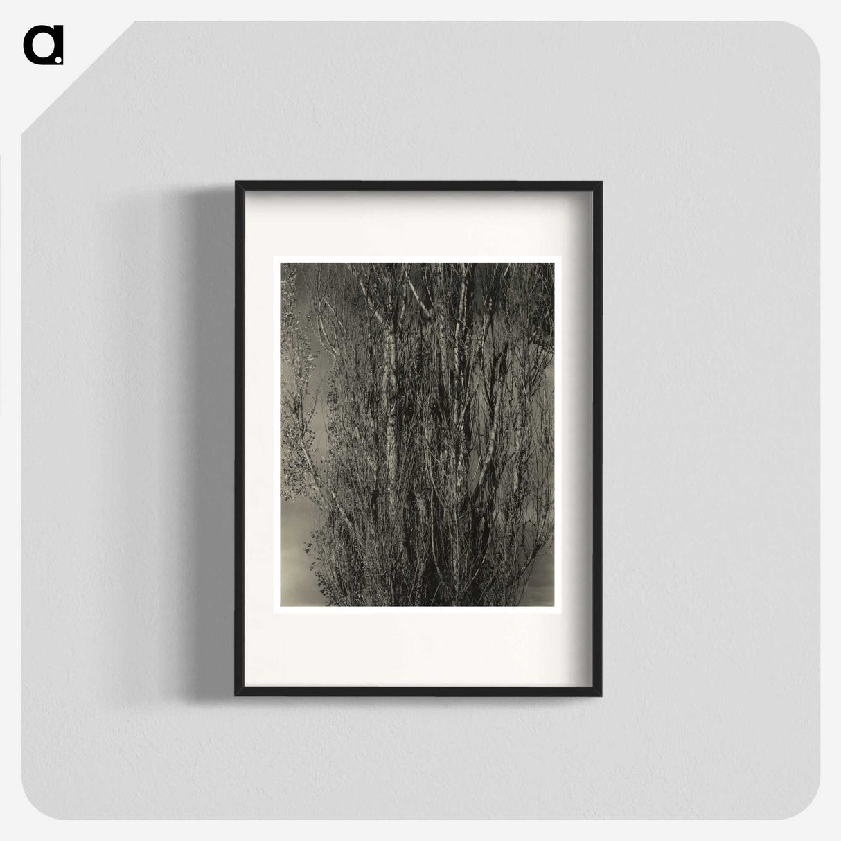 2-47_Alfred-Stieglitz_blk