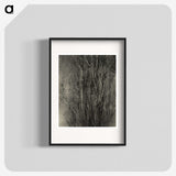 2-47_Alfred-Stieglitz_blk