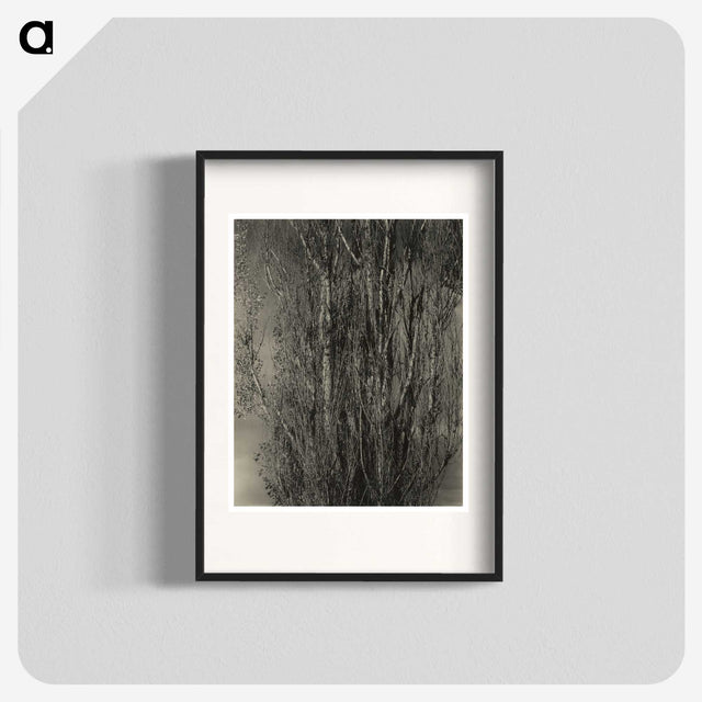 2-47_Alfred-Stieglitz_blk