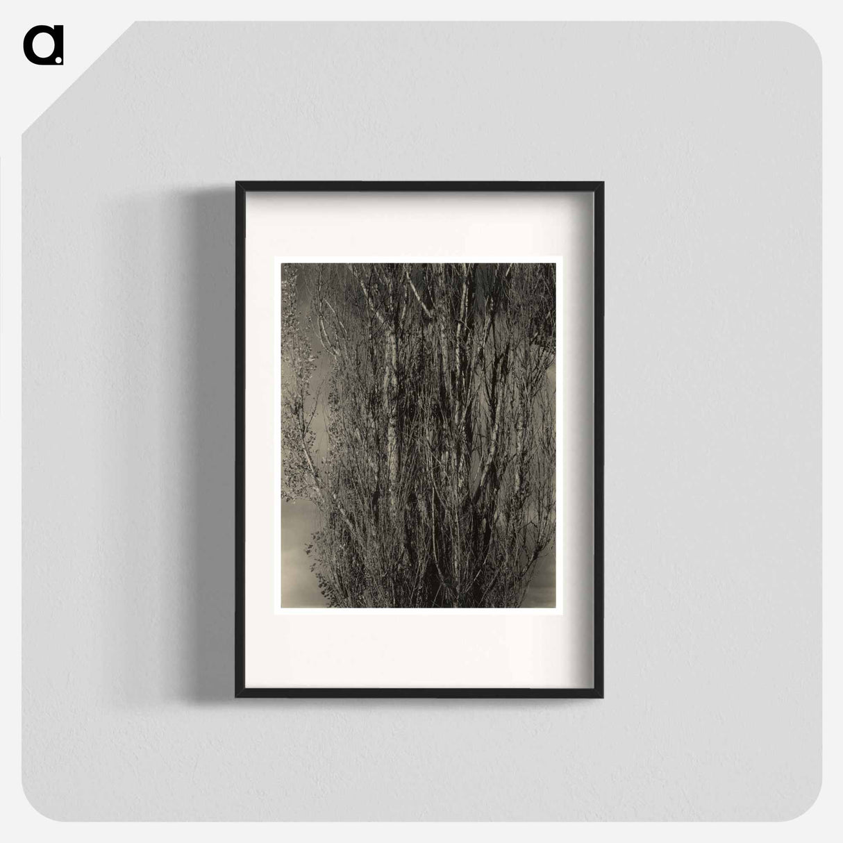 Dying Poplar and Live Branch - Lake George - アルフレッド スティーグリッツ Poster.