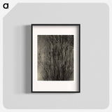 Dying Poplar and Live Branch - Lake George - アルフレッド スティーグリッツ Poster.