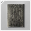 2-47_Alfred-Stieglitz_canvas