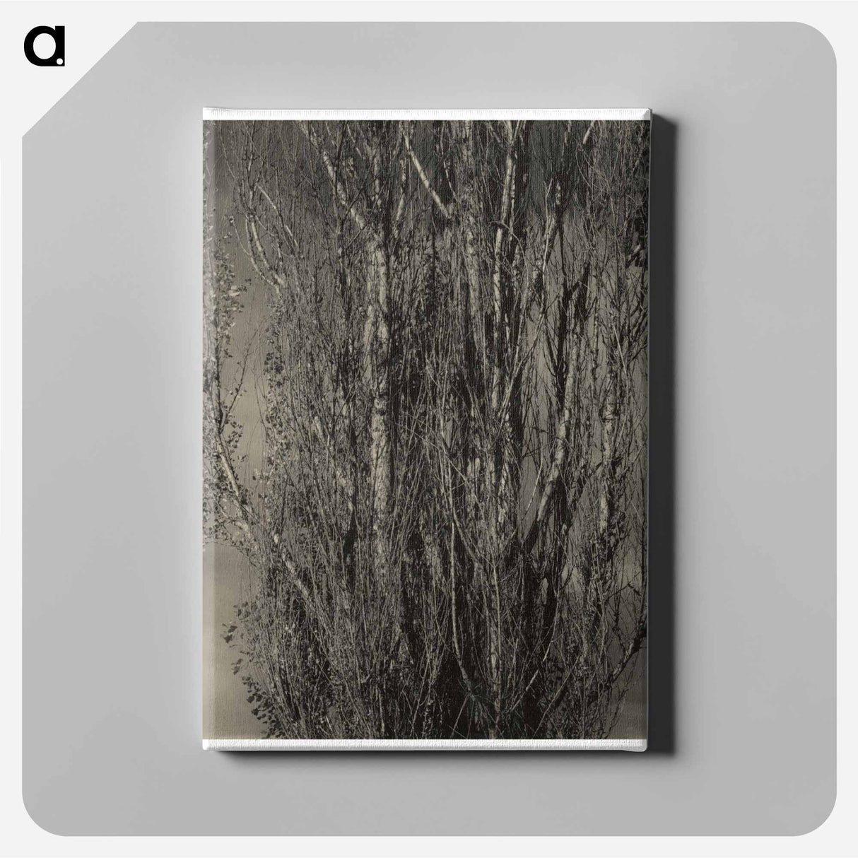 Dying Poplar and Live Branch - Lake George - アルフレッド スティーグリッツ Canvas.
