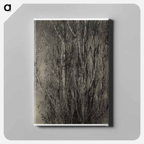 アートパネル-Dying Poplar and Live Branch - Lake George - アルフレッド スティーグリッツ Canvas.