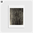 アートポストカード-Dying Poplar and Live Branch - Lake George - アルフレッド スティーグリッツ Postcard.