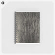2-47_Alfred-Stieglitz_memo