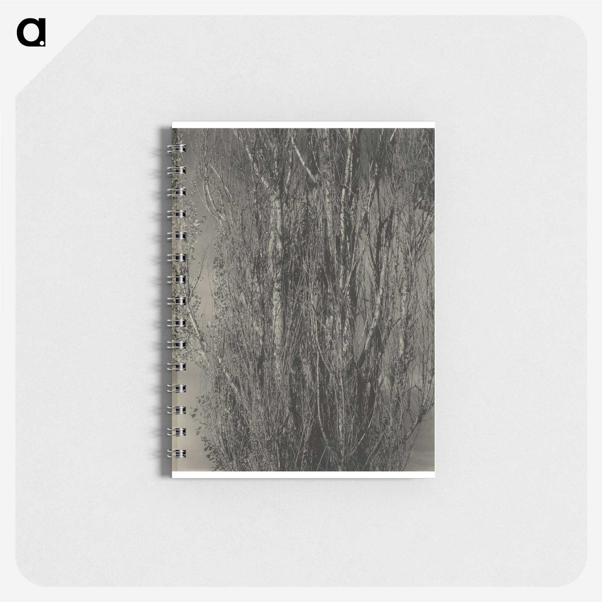 2-47_Alfred-Stieglitz_memo