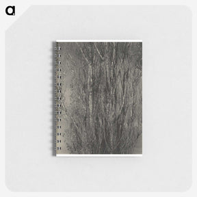 2-47_Alfred-Stieglitz_memo