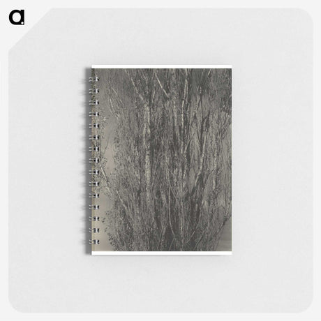 2-47_Alfred-Stieglitz_memo