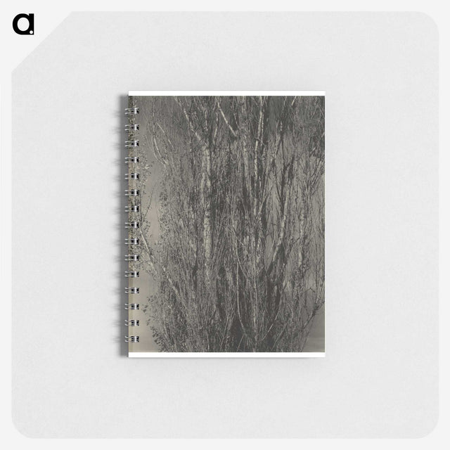 2-47_Alfred-Stieglitz_memo