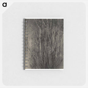 アートメモ帳-Dying Poplar and Live Branch - Lake George - アルフレッド スティーグリッツ Memo.