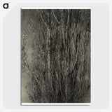 2-47_Alfred-Stieglitz_picture-crop