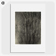 2-47_Alfred-Stieglitz_picture