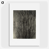 2-47_Alfred-Stieglitz_picture