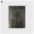2-47_Alfred-Stieglitz_postcard