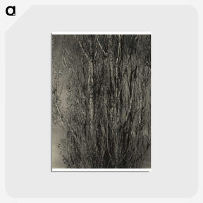 2-47_Alfred-Stieglitz_postcard