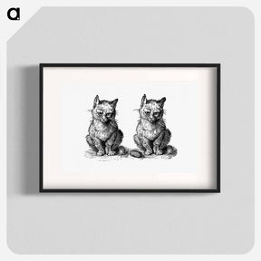 アートポスター-Victorian Cats Engraving
 - 大英図書館 Poster.