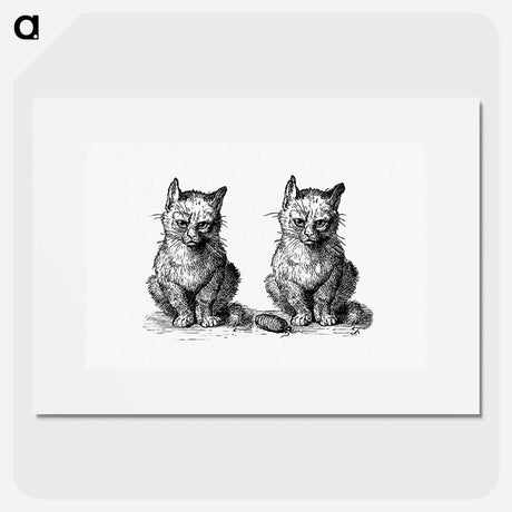 アートポスター-Victorian Cats Engraving
 - 大英図書館 Poster.