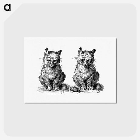 アートポストカード-Victorian Cats Engraving
 - 大英図書館 Postcard.