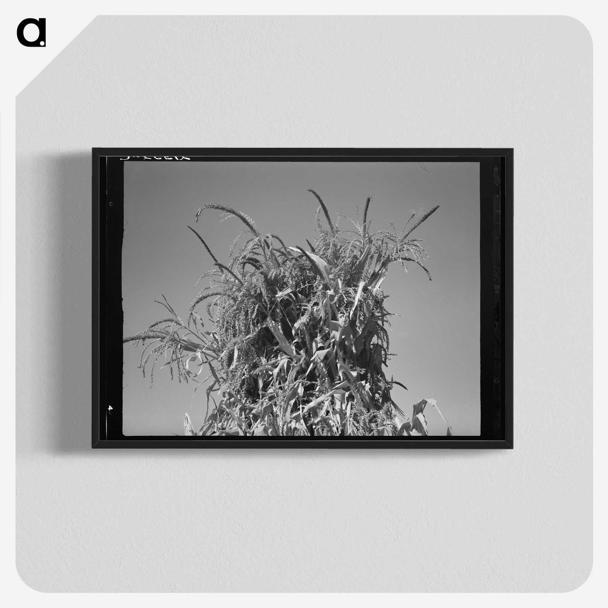2-47_Dorothea-Lange_blk-crop