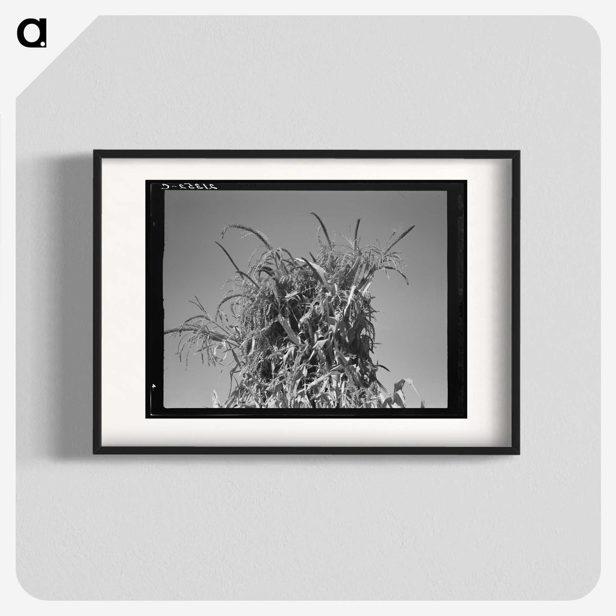 2-47_Dorothea-Lange_blk