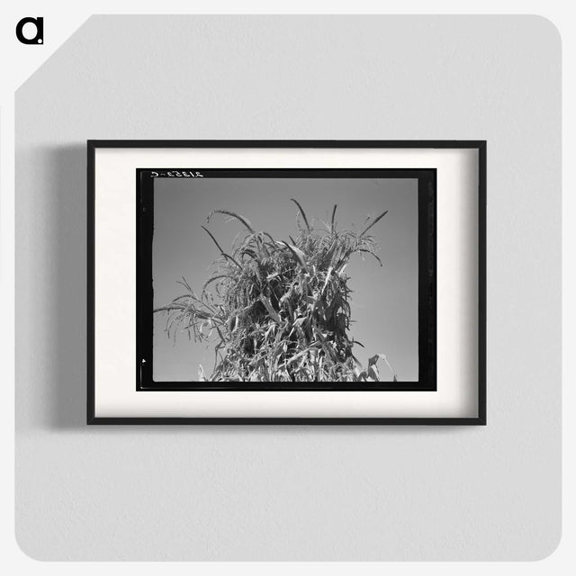 2-47_Dorothea-Lange_blk