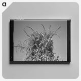 2-47_Dorothea-Lange_canvas