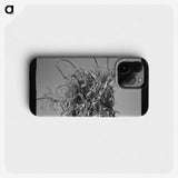 2-47_Dorothea-Lange_phone