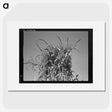 2-47_Dorothea-Lange_picture