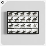 2-47_Eadweard-Muybridge_blk-crop