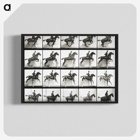 2-47_Eadweard-Muybridge_blk-crop