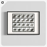 2-47_Eadweard-Muybridge_blk