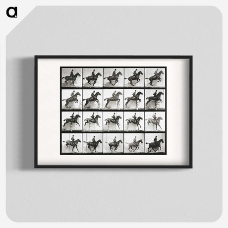 2-47_Eadweard-Muybridge_blk