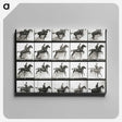 2-47_Eadweard-Muybridge_canvas
