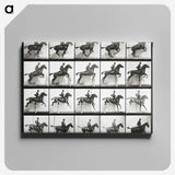2-47_Eadweard-Muybridge_canvas