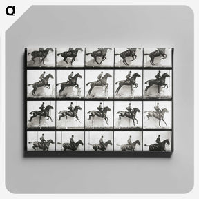 2-47_Eadweard-Muybridge_canvas