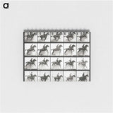 2-47_Eadweard-Muybridge_memo