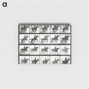2-47_Eadweard-Muybridge_memo