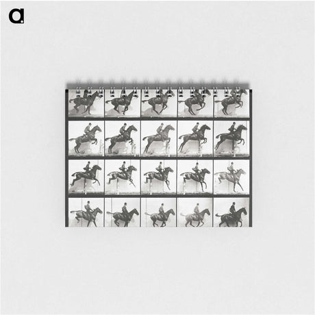 2-47_Eadweard-Muybridge_memo