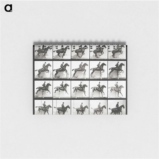 2-47_Eadweard-Muybridge_memo