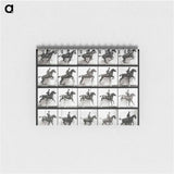 アートメモ帳-Animal Locomotion Plate 640
 - エドワード マイブリッジ Memo.