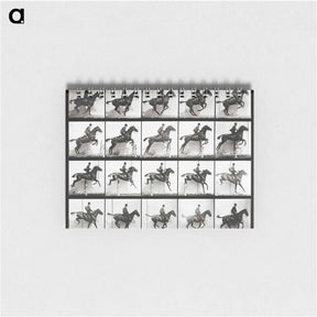 アートメモ帳-Animal Locomotion Plate 640
 - エドワード マイブリッジ Memo.